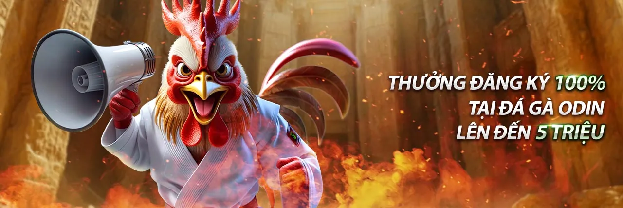 Hình ảnh chính 678win.com, trải nghiệm cá cược trực tuyến đỉnh cao